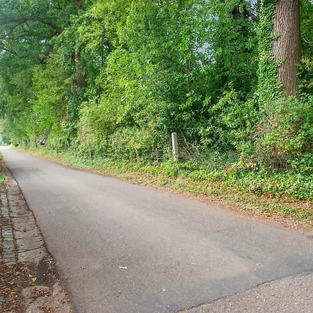 Splendid In Vorsen